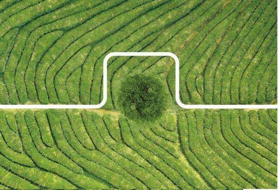 Wind Proof Pesticide Spraying Drone Convenient With Quick Release Structure