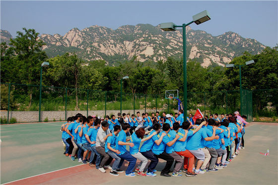 Electric Crop Spraying Drone Easy Installation Weed Spraying Drone