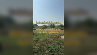 Precision Crop Spraying Drone Solves Training Disputes